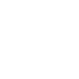 ce logo Swanzey